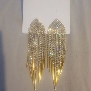 Elegant Class Earrings